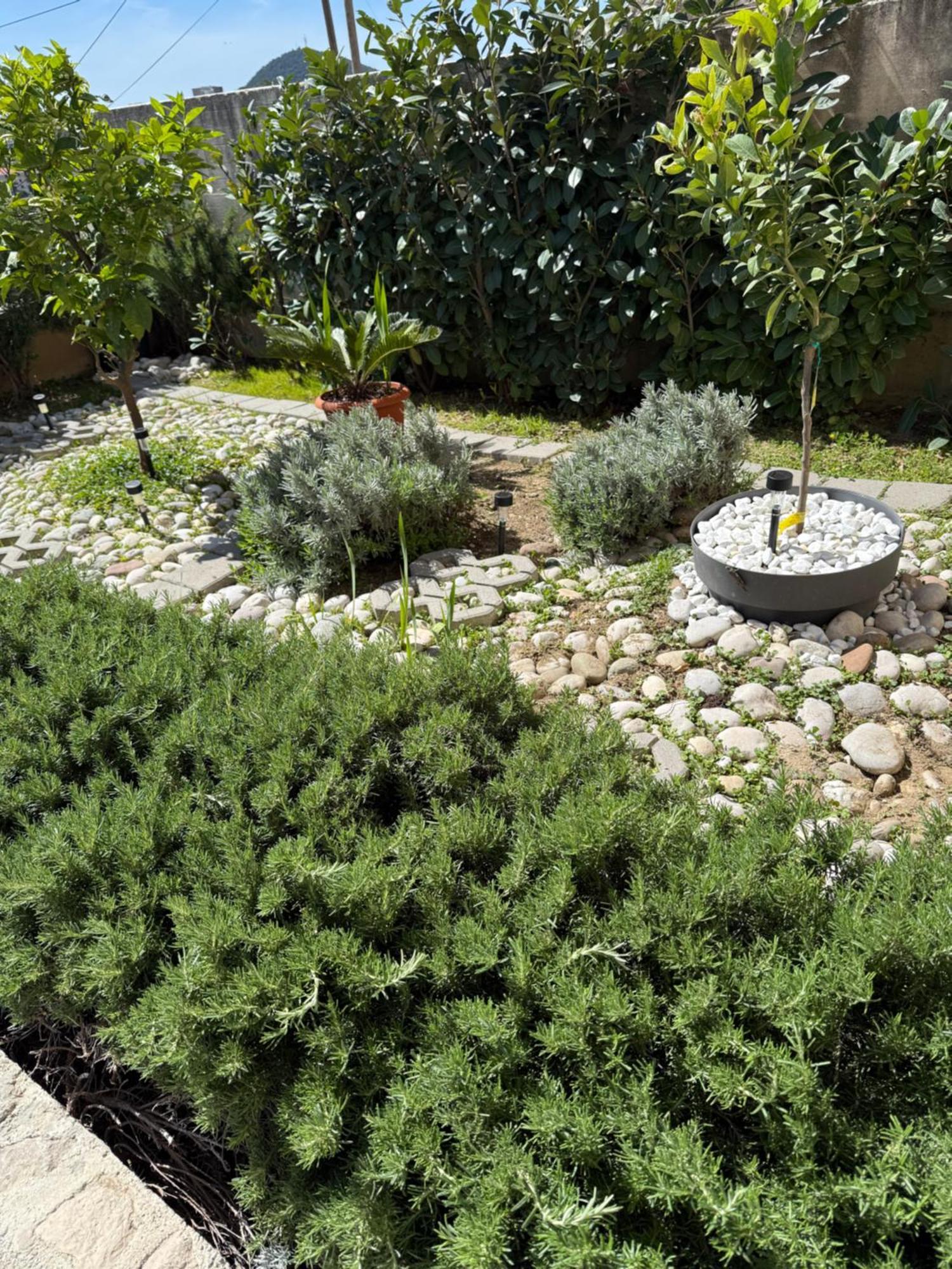 Lemon Tree Dubrovnik Apartments 외부 사진