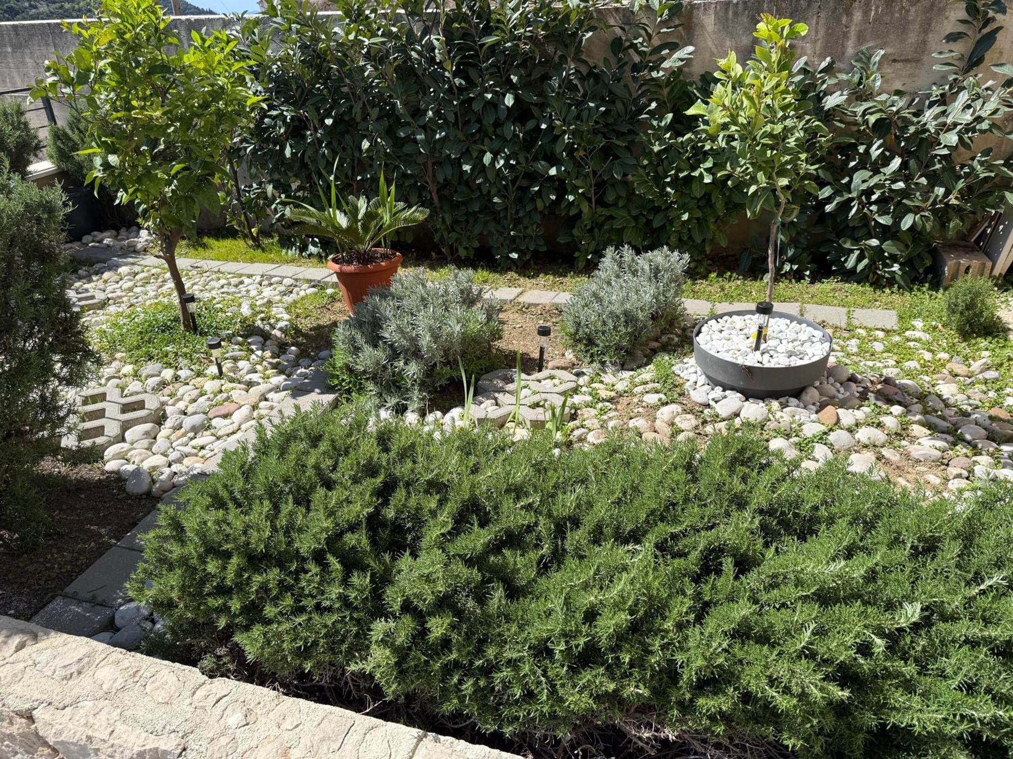 Lemon Tree Dubrovnik Apartments 외부 사진